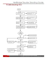 Предварительный просмотр 3 страницы Accelerated NetBridge Troubleshooting Manual