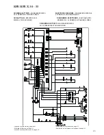 Предварительный просмотр 45 страницы Accorroni RPE HPE X30 Technical Manual