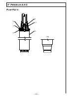 Preview for 38 page of Accu-Flo Meter Service Red Jacket AGUMP150S1 Installation, Operation, Service & Repair Parts