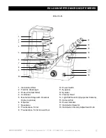 Предварительный просмотр 11 страницы Accu-Scope EXI-410 Series Manual