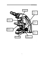 Preview for 6 page of Accu-Scope MT-40 Series Manual