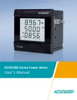 AccuEnergy DV300 Series User Manual preview