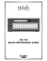 Accupipe Wicks CM-100 Quick Reference Manual предпросмотр