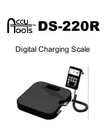 AccuTools DS-220R User Manual preview