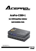 AceProAV AcePro-CE89-1 Quick Installation Manual предпросмотр