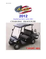 Preview for 1 page of ACG T SPORT NEV 2012 Charging Instructions