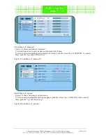 Preview for 13 page of ACKERMANN 15-1723 Operation Instructions Manual