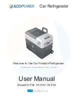 ACOPOWER HY-P30 User Manual предпросмотр