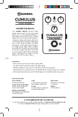 Acoustic Control GAMMA CUMULUS Owner'S Manual preview