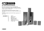 Предварительный просмотр 2 страницы ACOUSTIC SOLUTIONS DS733 Instruction Manual