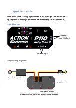 Предварительный просмотр 2 страницы ACTION ELECTRONICS P110 Operating Instructions Manual