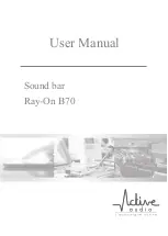 Active Audio Ray-On B70 User Manual предпросмотр