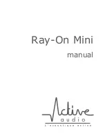 Active Audio Ray-On Mini Manual preview