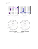 Предварительный просмотр 11 страницы Active Audio Ray-On Mini Manual