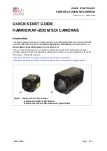 Active Silicon AS-CIB-3GSDI-002-EVAL-B Quick Start Manual предпросмотр