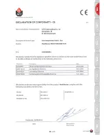 Preview for 24 page of ACV HeatMaster 100 N Installation, Operation And Maintenance Instructions