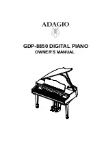 Adagio GDP-8850 Owner'S Manual preview