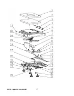 Предварительный просмотр 19 страницы Adam Equipment CBD Series Service Manual