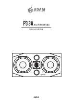 Предварительный просмотр 17 страницы Adam P33A Operation Manual