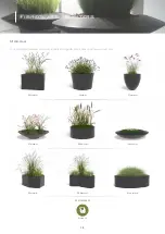 Preview for 3 page of ADEZZ Buxus Quick Start Manual