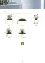 Preview for 4 page of ADEZZ Buxus Quick Start Manual