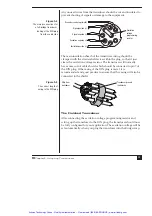 Предварительный просмотр 40 страницы ADInstruments Bridge Amp Owner'S Manual