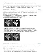 Preview for 217 page of Adobe 29180155 - Photoshop Elements 4.0 Tutorial