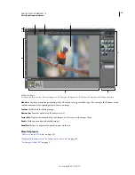 Предварительный просмотр 24 страницы Adobe 65045315 - Photoshop Elements - PC Use Manual