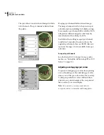 Предварительный просмотр 256 страницы Adobe PHOTOSHOP 5.0 User Manual