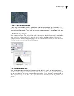 Preview for 22 page of Adobe PHOTOSHOP CS2 User Manual