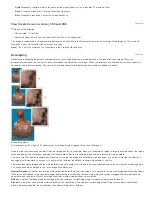 Preview for 106 page of Adobe Photoshop CS6 User Manual