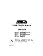 ADTRAN 1200043L1 User Manual предпросмотр