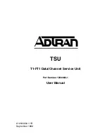 ADTRAN 1200060L1 User Manual предпросмотр