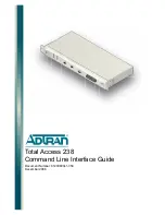 ADTRAN 1200630L1 Interface Manual предпросмотр