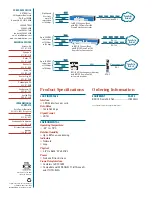 Preview for 2 page of ADTRAN Frameport 768 Specifications