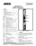 ADTRAN T200 IDSL Installation And Maintenance Manual предпросмотр