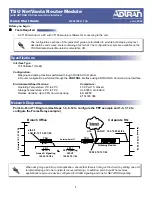 ADTRAN TSU NetVanta Quick Start Manual предпросмотр