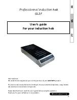 Adventys GL2 F User Manual предпросмотр