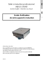 Предварительный просмотр 1 страницы Adventys INDUC STONE User Manual