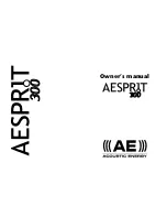 AE aesprit 300 Owner'S Manual preview