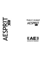 AE AESPRIT 308 Owner'S Manual preview