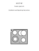 AEG 61371 M Installation And Operating Instructions Manual preview