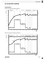 Предварительный просмотр 25 страницы AEG 97101 Operation And Safety Notes