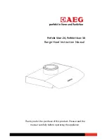 AEG Perfekt Visor?24 Instruction Manual preview