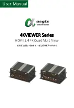 Aegis 4KVIEWER Series User Manual предпросмотр