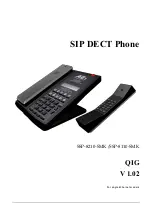 AEI COMMUNICATIONS SSP-8210-SMK Manual предпросмотр