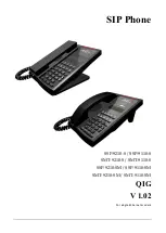 AEI COMMUNICATIONS SSP-9210-SM Qig предпросмотр