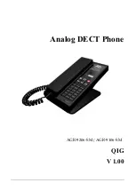 AEI AGR-9206-SM Manual preview