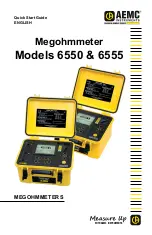 AEMC instruments 6550 Quick Start Manual предпросмотр