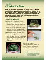 Preview for 24 page of AeroGarden Master Gardener Deluxe Manual